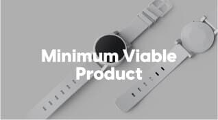 Minimum viable product