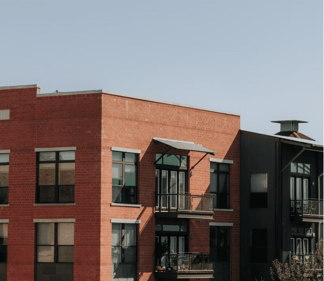 Case Study - mica rino