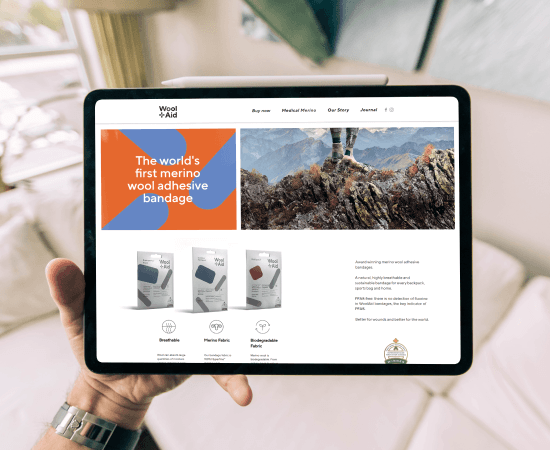 Client project details